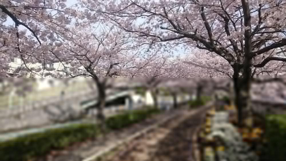 โรงแรมเฮนน์ นะ ไมฮะมะ โตเกียว เบย์ Urayasu ภายนอก รูปภาพ